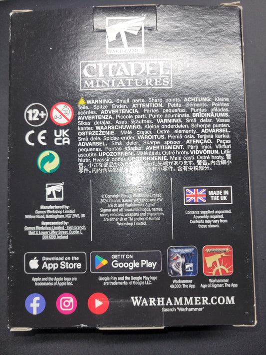 Darkoath Warqueen Marakarr Blood-sky Slaves to Darkness Warhammer AoS NiB1