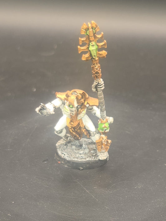 Games Workshop Necron Cryptek Miniature Tabletop ready  Painted Finecast0