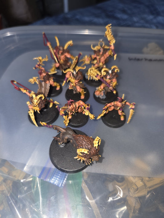 Warcry Untamed Beasts  Warhammer Age of Sigmar OOP Decently Painted1