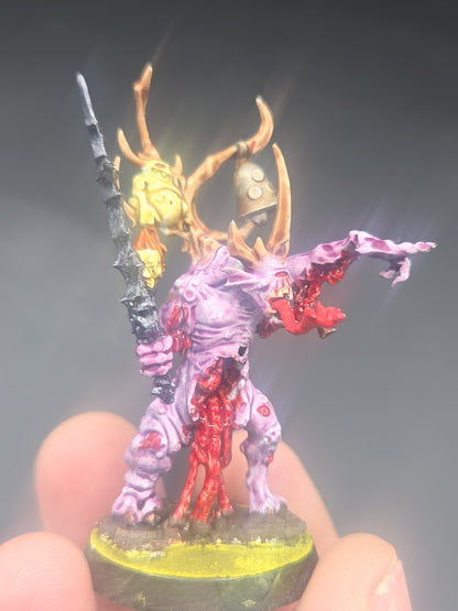 Warhammer Age of Sigmar  Nurgle Command lot  3