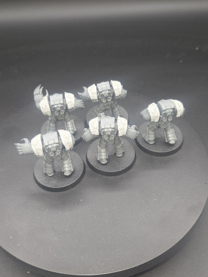  Cataphractii Terminators x5 with Forgeworld Alpha legion Shoulders2