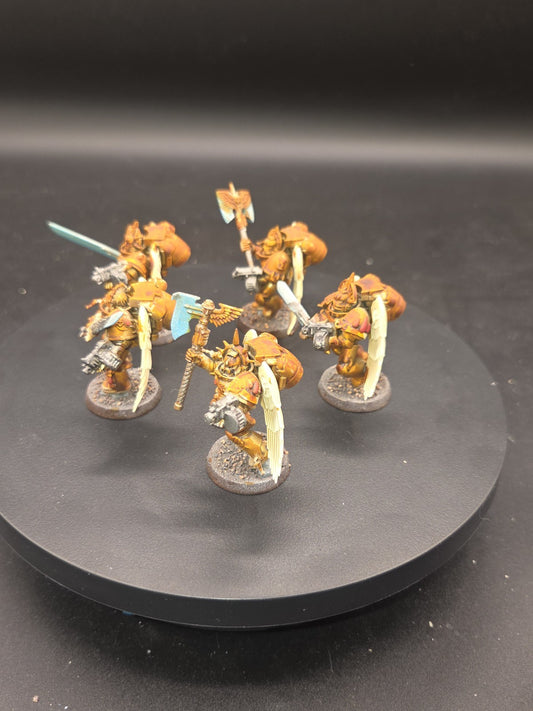 BLOOD ANGELS  Sanguinary Guard x5 Tabletop Ready Painted 1