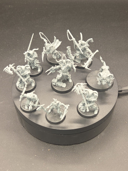 UNTAMED BEASTS WARCRY WARBAND WARHAMMER AGE OF SIGMAR AOS SLAVES TO DARKNESS0