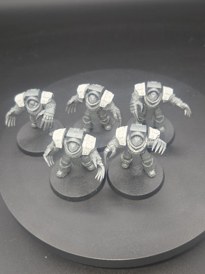  Cataphractii Terminators x5 with Forgeworld Alpha legion Shoulders0