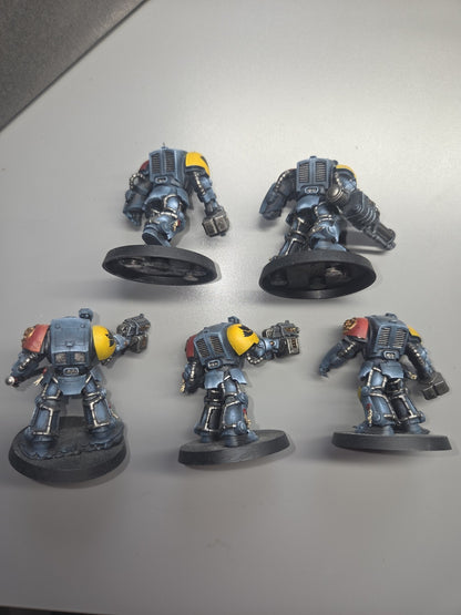 5x Space Wolves Terminators, very well Painted, 1