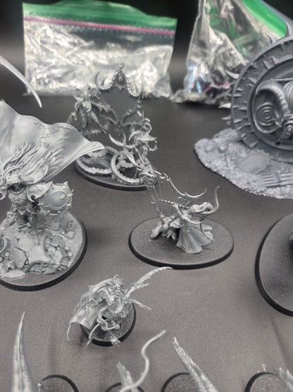 large Hedonites of Slaanesh Army AOS with custom cut foam box3