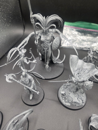large Hedonites of Slaanesh Army AOS with custom cut foam box2