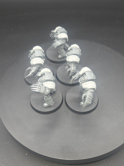  Cataphractii Terminators x5 with Forgeworld Alpha legion Shoulders1