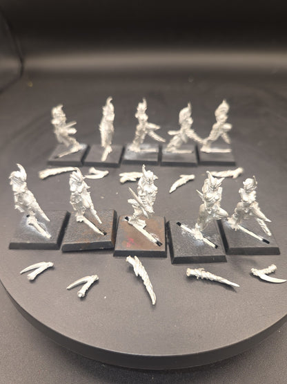 Warhammer Daemonettes of Slaanesh x10 Metal OOP - Juan Diaz Sculpts.0