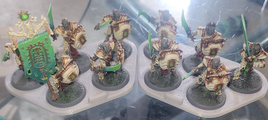 Warhammer AOS well painted and based Ossiarch Bonereapers Mortek Guard SK31521